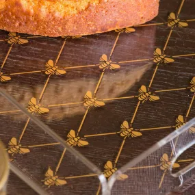 Bee - dragonfly plexiglass trays
