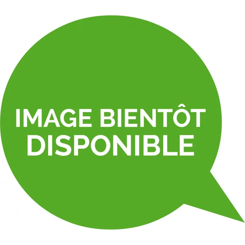 INSPYRATIONS Genesys 3L Pantalon /bone 2024-2025 Pantalons de Ski Snowboard Non doublé Rando (3 couches)