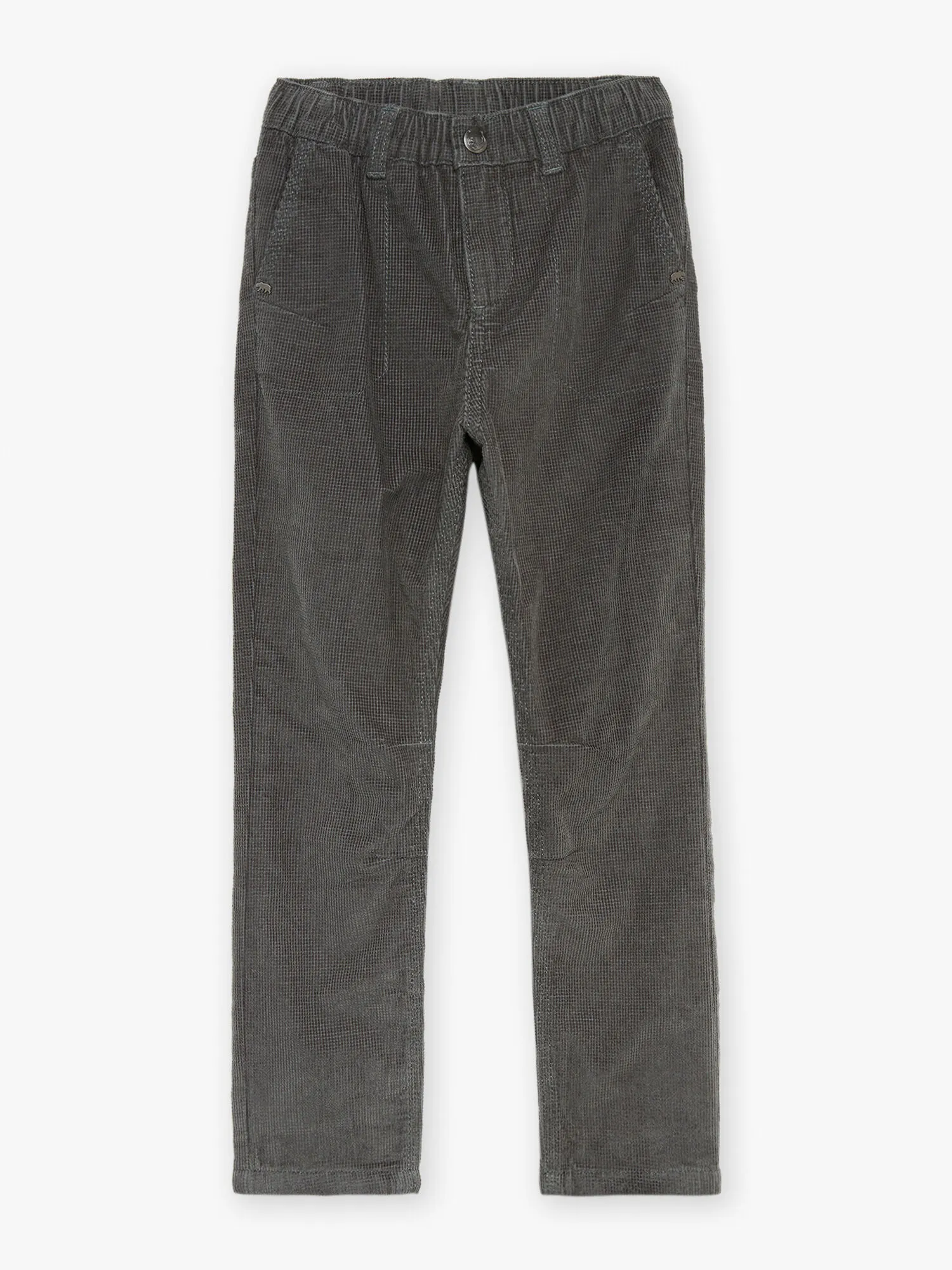 Pantalon chino vert de gris en velours